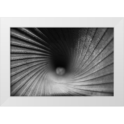 Inside a Howitzer White Modern Wood Framed Art Print by Putman, Tammy