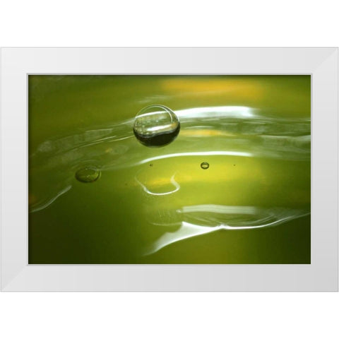 Lemon Lime Drop II White Modern Wood Framed Art Print by Putman, Tammy