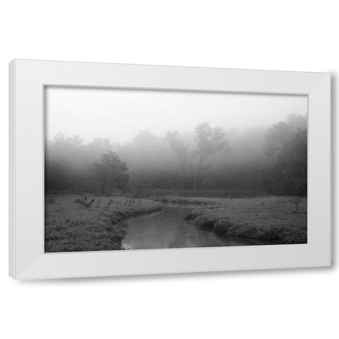 Creek in Fog I White Modern Wood Framed Art Print by Putman, Tammy