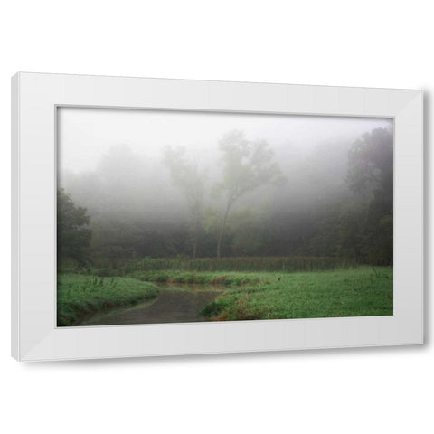 Creek in Fog II White Modern Wood Framed Art Print by Putman, Tammy