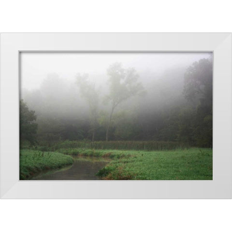 Creek in Fog II White Modern Wood Framed Art Print by Putman, Tammy