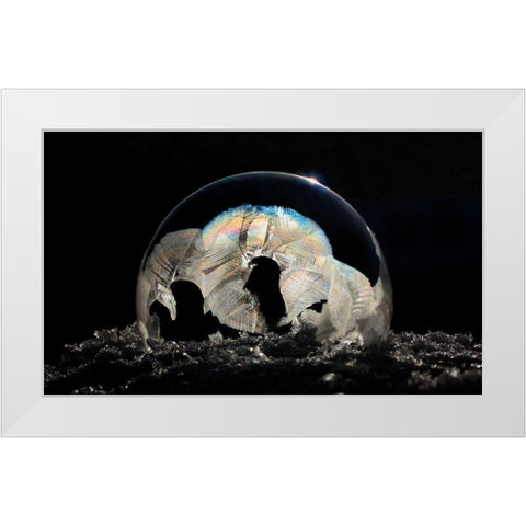 Frozen Bubble White Modern Wood Framed Art Print by Putman, Tammy