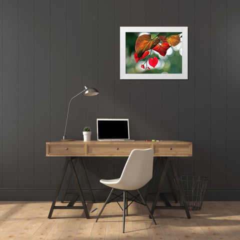 Red White Modern Wood Framed Art Print by Putman, Tammy