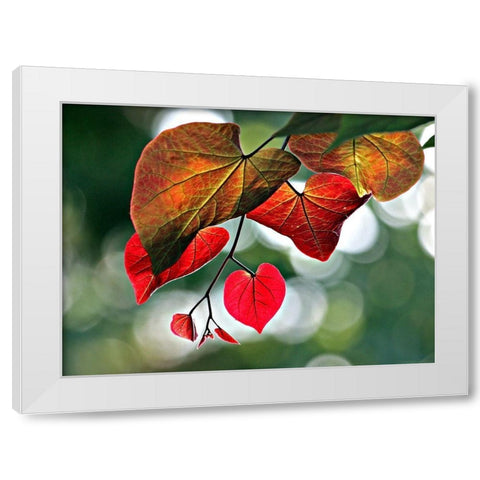 Red White Modern Wood Framed Art Print by Putman, Tammy