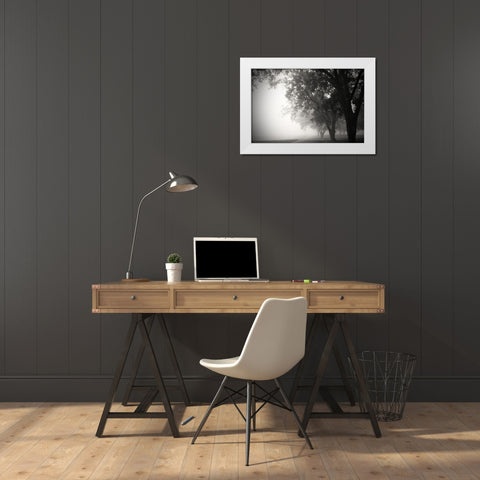Morning Walk White Modern Wood Framed Art Print by Putman, Tammy
