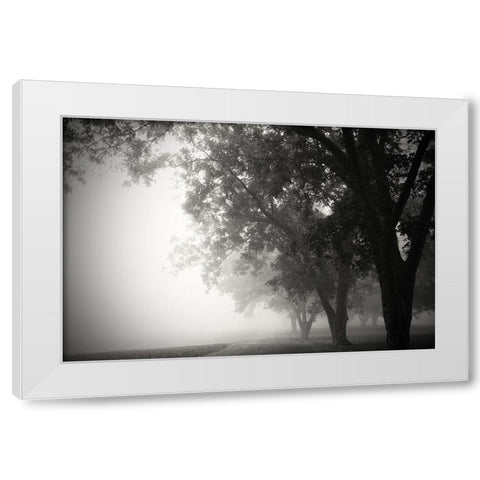 Morning Walk White Modern Wood Framed Art Print by Putman, Tammy