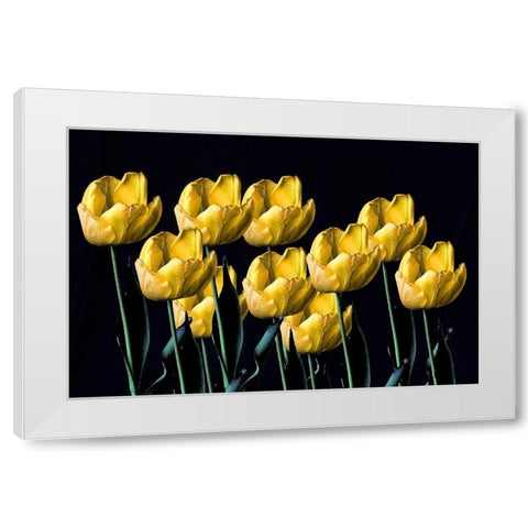 Yellow Tulips White Modern Wood Framed Art Print by Putman, Tammy