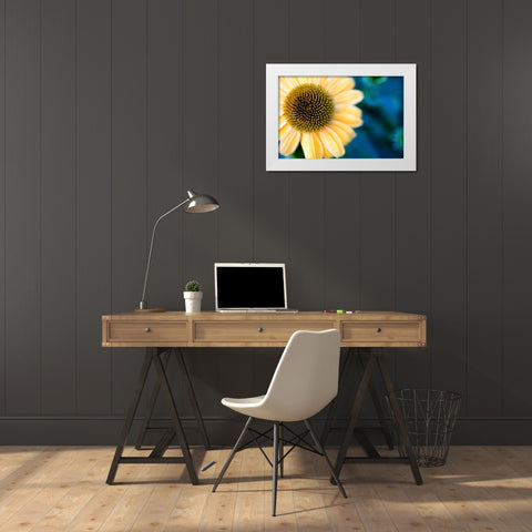 Cone Flowers I White Modern Wood Framed Art Print by Putman, Tammy
