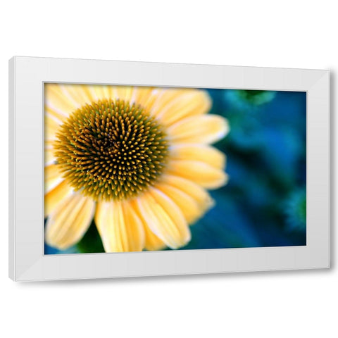 Cone Flowers I White Modern Wood Framed Art Print by Putman, Tammy