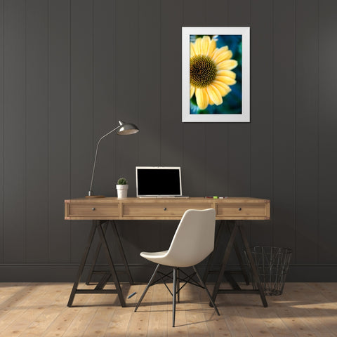 Cone Flowers III White Modern Wood Framed Art Print by Putman, Tammy