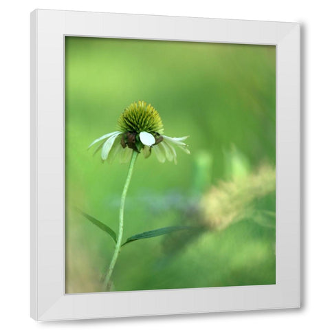 White Cones I White Modern Wood Framed Art Print by Putman, Tammy