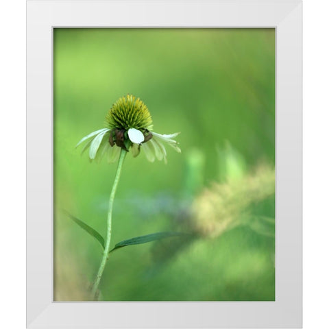 White Cones I White Modern Wood Framed Art Print by Putman, Tammy