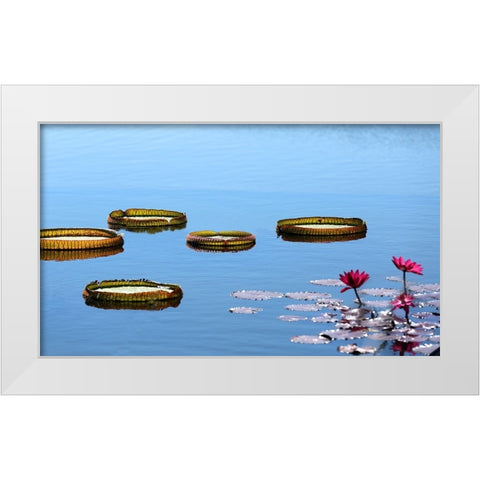 Lily Pads White Modern Wood Framed Art Print by Putman, Tammy