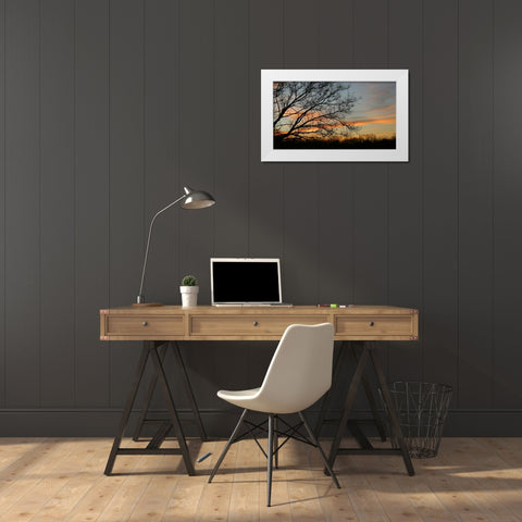 Dusk Silhouette I White Modern Wood Framed Art Print by Putman, Tammy
