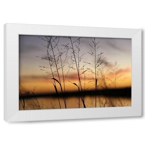 Dusk Silhouette II White Modern Wood Framed Art Print by Putman, Tammy