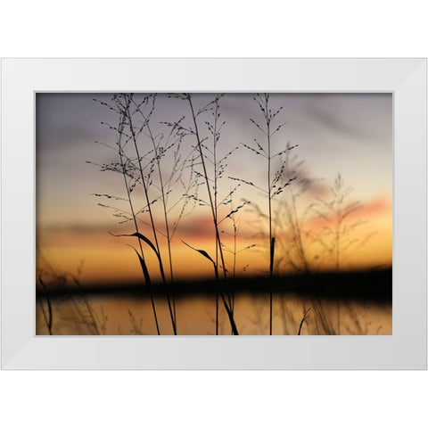 Dusk Silhouette II White Modern Wood Framed Art Print by Putman, Tammy