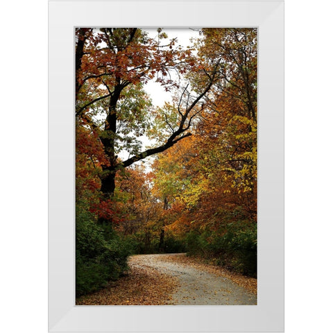 Autumn Drive White Modern Wood Framed Art Print by Putman, Tammy