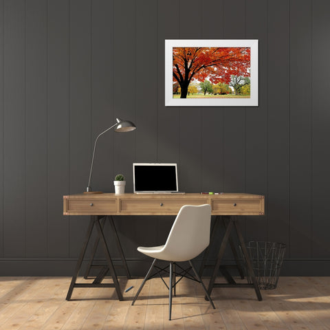 Red Fall White Modern Wood Framed Art Print by Putman, Tammy