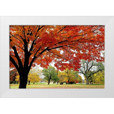 Red Fall White Modern Wood Framed Art Print by Putman, Tammy