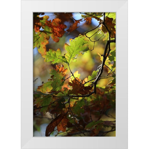 Green Andamp; Copper White Modern Wood Framed Art Print by Putman, Tammy