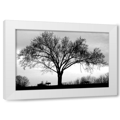 Dusk White Modern Wood Framed Art Print by Putman, Tammy