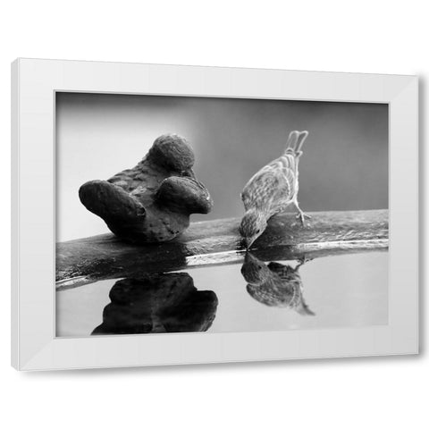 Finch II White Modern Wood Framed Art Print by Putman, Tammy