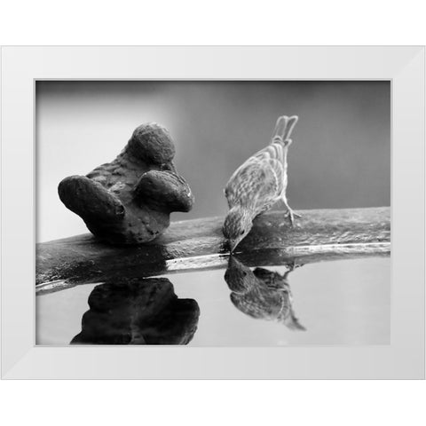Finch II White Modern Wood Framed Art Print by Putman, Tammy
