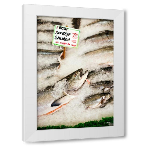 Fresh Seafood II White Modern Wood Framed Art Print by Stefko, Bob