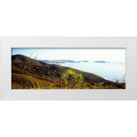 Cape Reinga I White Modern Wood Framed Art Print by Stefko, Bob