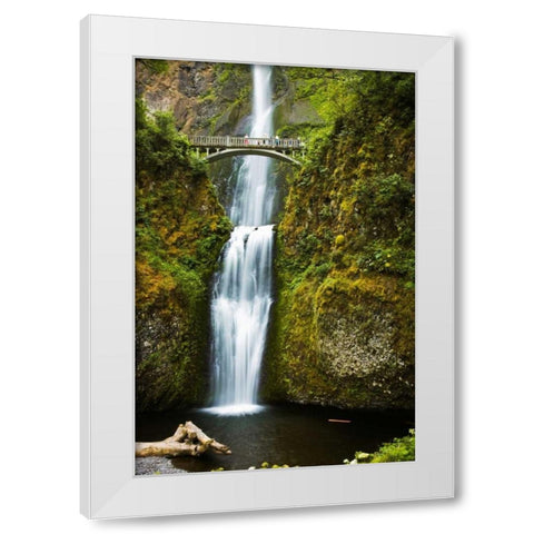 Multnomah Falls I White Modern Wood Framed Art Print by Stefko, Bob