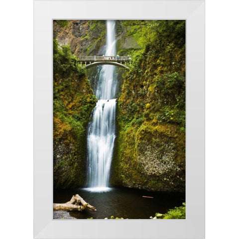 Multnomah Falls I White Modern Wood Framed Art Print by Stefko, Bob