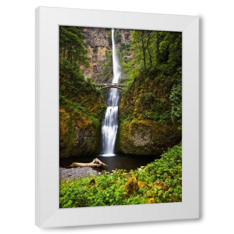 Multnomah Falls II White Modern Wood Framed Art Print by Stefko, Bob
