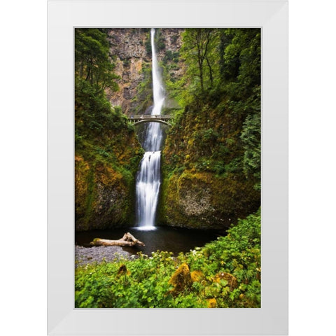 Multnomah Falls II White Modern Wood Framed Art Print by Stefko, Bob