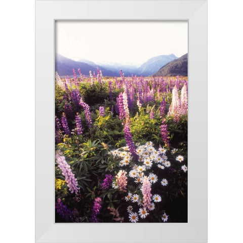 Russell Lupin II White Modern Wood Framed Art Print by Stefko, Bob