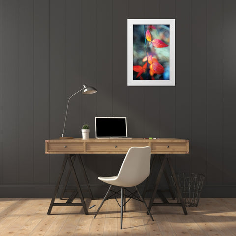 Fall Leaves I White Modern Wood Framed Art Print by Stefko, Bob