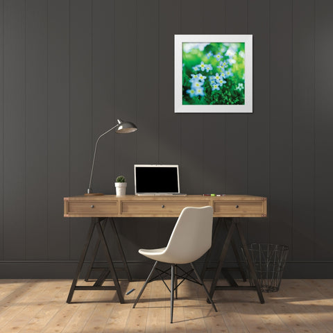 Blooms in Spring II White Modern Wood Framed Art Print by Stefko, Bob