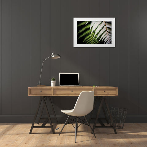 Silver Tree Fern I White Modern Wood Framed Art Print by Stefko, Bob