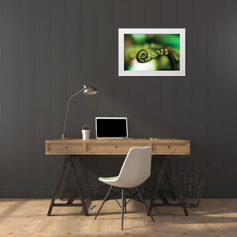 Black Tree Fern I White Modern Wood Framed Art Print by Stefko, Bob