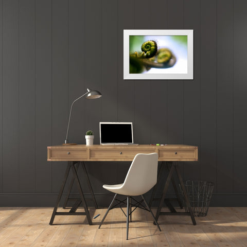 Black Tree Fern II White Modern Wood Framed Art Print by Stefko, Bob