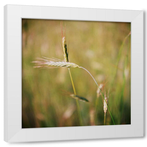 Simple Organics IV White Modern Wood Framed Art Print by Stefko, Bob