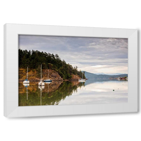 Sooke Harbor I White Modern Wood Framed Art Print by Stefko, Bob