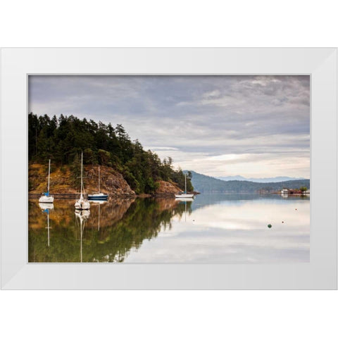 Sooke Harbor I White Modern Wood Framed Art Print by Stefko, Bob