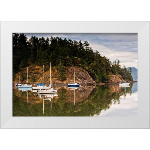 Sooke Harbor II White Modern Wood Framed Art Print by Stefko, Bob