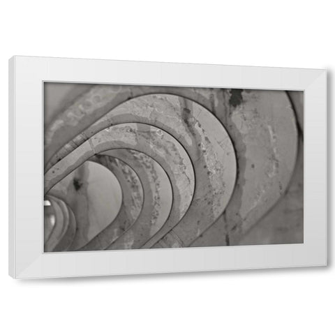 Oval Fractals IV White Modern Wood Framed Art Print by Styber, Dana