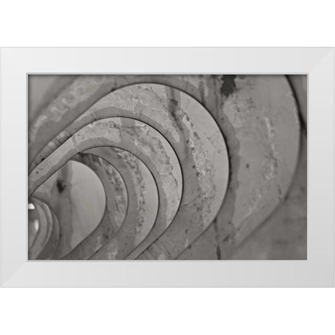 Oval Fractals IV White Modern Wood Framed Art Print by Styber, Dana
