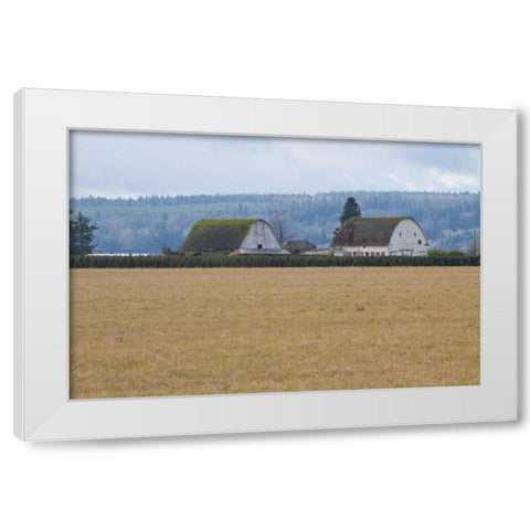 Dual Barns White Modern Wood Framed Art Print by Styber, Dana