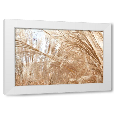 Blowing Grass I White Modern Wood Framed Art Print by Styber, Dana