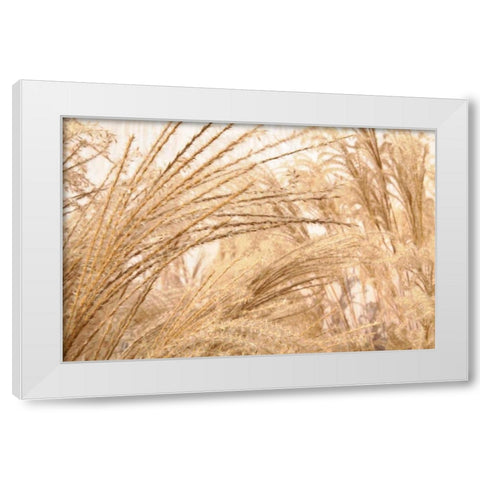 Blowing Grass II White Modern Wood Framed Art Print by Styber, Dana