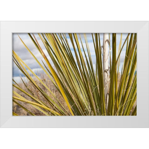 Century Plant I White Modern Wood Framed Art Print by Styber, Dana