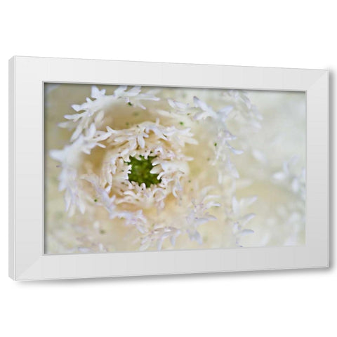 Green Ornamental I White Modern Wood Framed Art Print by Styber, Dana